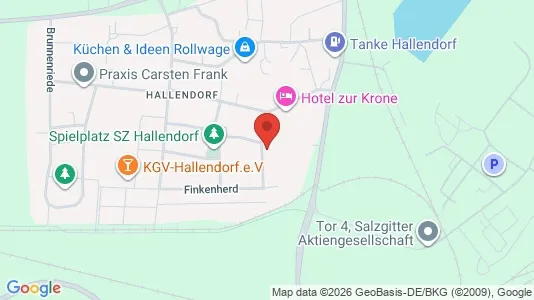 Apartments for rent i Salzgitter - kort over placeringen