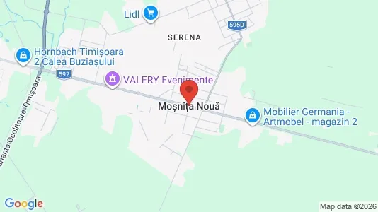 Houses for rent in Moşniţa Nouă - Photo from Google Street View