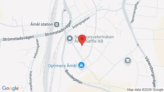 Apartments for rent in Åmål - Photo from Google Street View