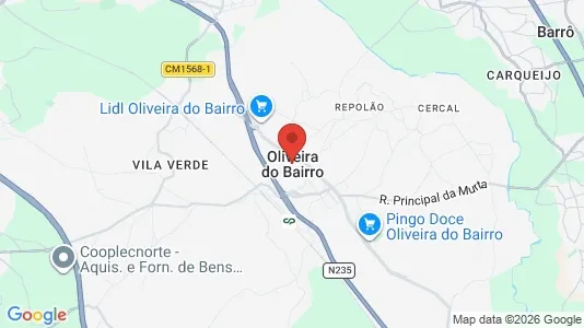Houses for rent i Oliveira do Bairro - kort over placeringen