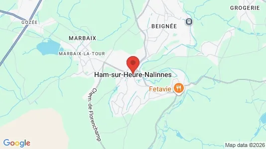 Houses for rent i Ham-sur-Heure-Nalinnes - kort over placeringen