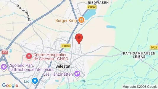 Apartments for rent in Sélestat-Erstein - Photo from Google Street View