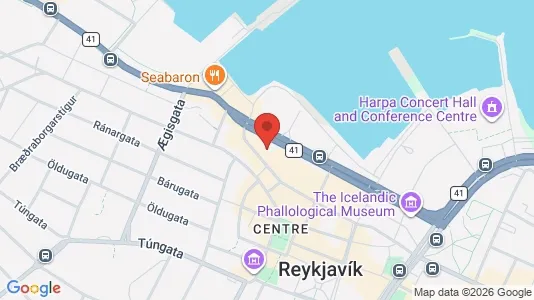 Apartments for rent in Reykjavík Miðborg - Photo from Google Street View