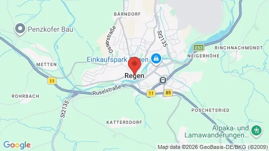 Apartments for rent in Regen - Photo from Google Street View