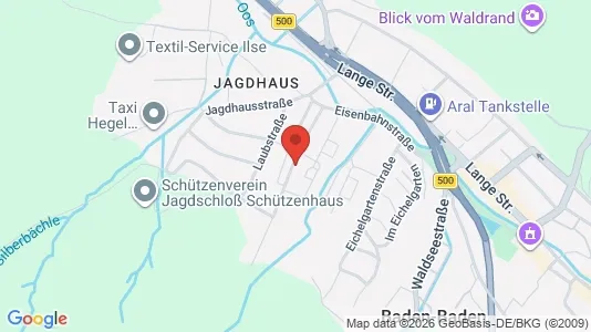 Apartments for rent in Baden-Baden - Photo from Google Street View