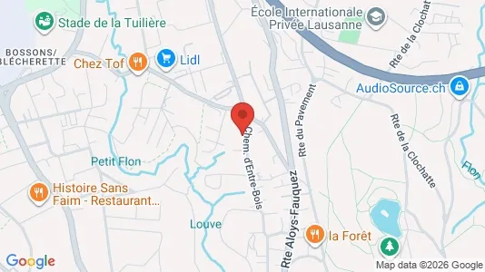 Apartments for rent i Lausanne - kort over placeringen