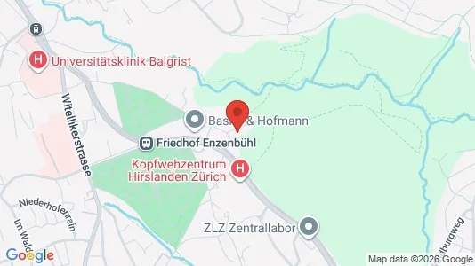 Apartments for rent i Meilen - kort over placeringen