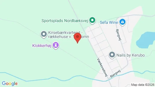 Apartments for rent in Ringsted - Photo from Google Street View