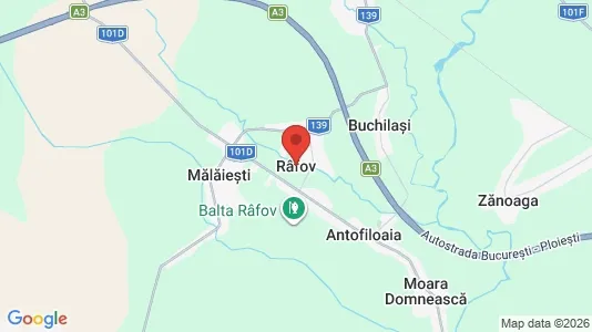 Apartments for rent in Râfov - Photo from Google Street View