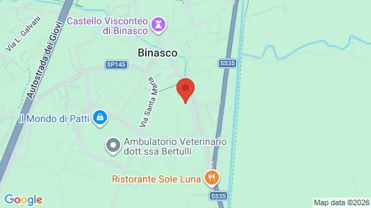 Apartments for rent i Binasco - kort over placeringen