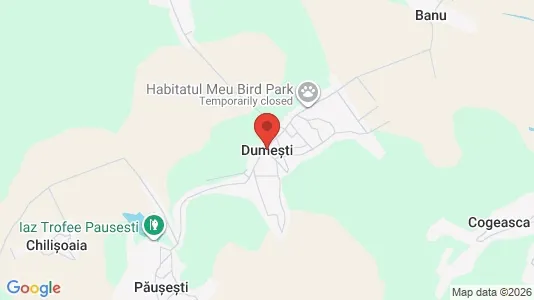 Apartments for rent in Dumeşti - Photo from Google Street View