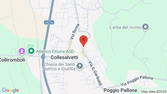 Apartments for rent in Collesalvetti - Photo from Google Street View