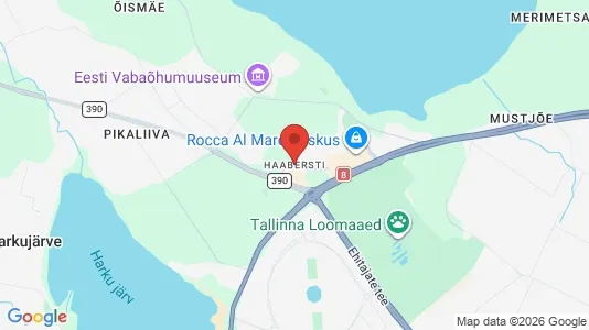 Houses for rent in Tallinn Haabersti - Photo from Google Street View