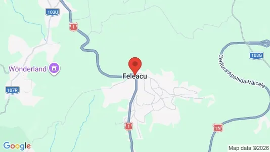 Houses for rent in Feleacu - Photo from Google Street View