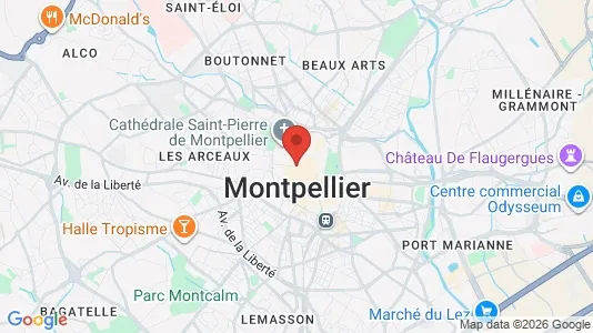 Apartments for rent i Montpellier - kort over placeringen