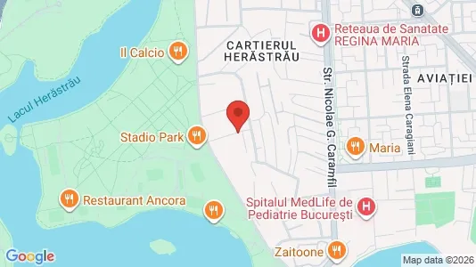 Apartments for rent i Voluntari - kort over placeringen
