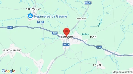 Houses for rent i Tintigny - kort over placeringen