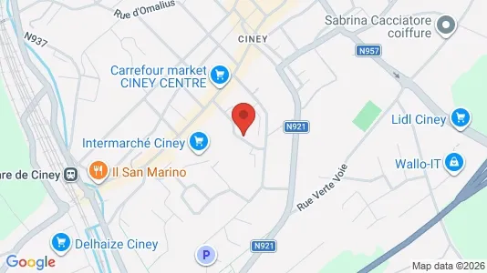 Apartments for rent i Ciney - kort over placeringen