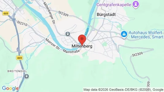 Apartments for rent i Miltenberg - kort over placeringen