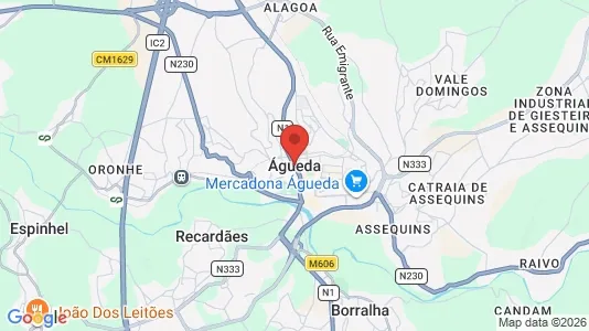 Apartments for rent i Águeda - kort over placeringen