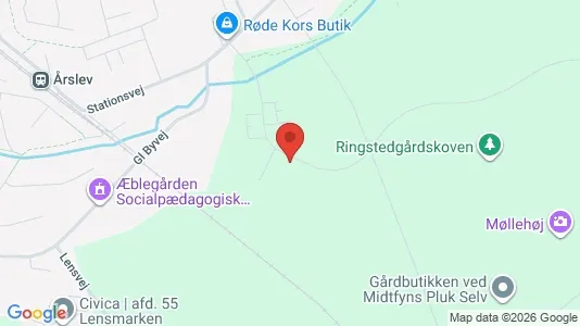 Apartments for rent i Årslev - kort over placeringen