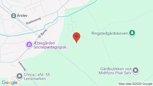 Apartments for rent i Årslev - kort over placeringen