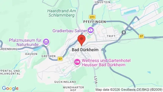 Apartments for rent i Bad Dürkheim - kort over placeringen