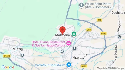 Apartments for rent i Molsheim - kort over placeringen
