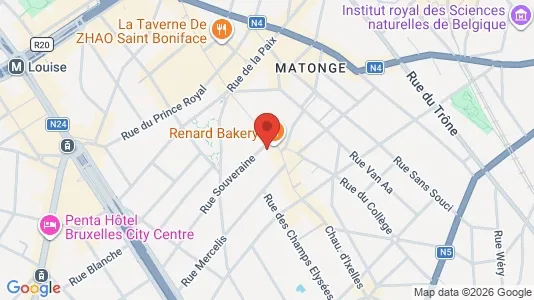 Apartments for rent i Brussels Elsene - kort over placeringen