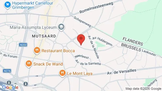 Apartments for rent in Stad Brussel - Photo from Google Street View