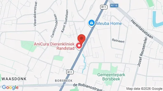 Apartments for rent in Borsbeek - Photo from Google Street View