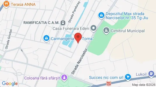 Apartments for rent in Târgu Jiu - Photo from Google Street View