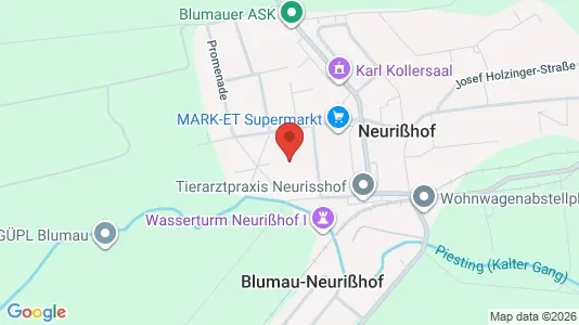 Apartments for rent i Blumau-Neurißhof - kort over placeringen