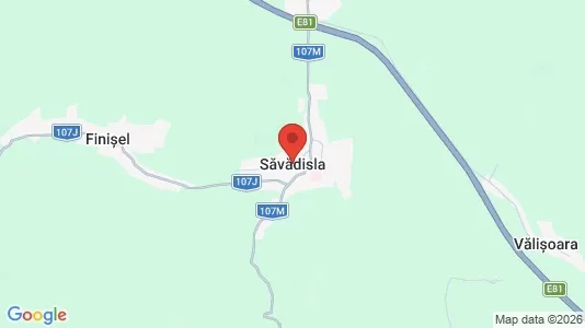 Houses for rent in Săvădisla - Photo from Google Street View