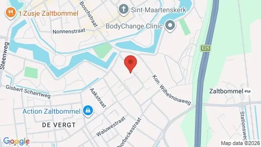 Apartments for rent i Zaltbommel - kort over placeringen