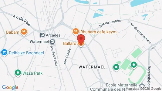 Apartments for rent in Brussels Watermaal-Bosvoorde - Photo from Google Street View