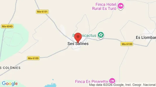 Apartments for rent in Ses Salines - Photo from Google Street View