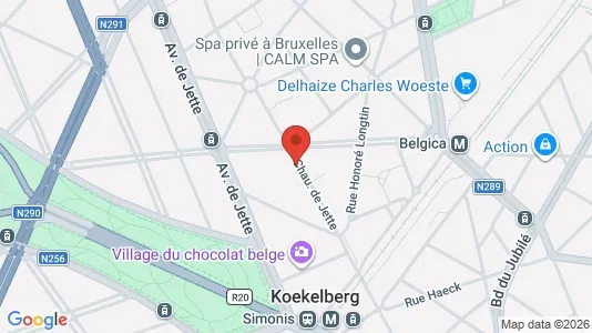 Apartments for rent in Brussels Koekelberg - Photo from Google Street View