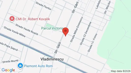 Apartments for rent i Arad - kort over placeringen