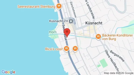 Apartments for rent i Meilen - kort over placeringen