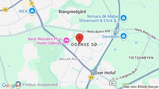 Houses for rent i Odense SØ - kort over placeringen
