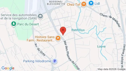 Apartments for rent i Lausanne - kort over placeringen