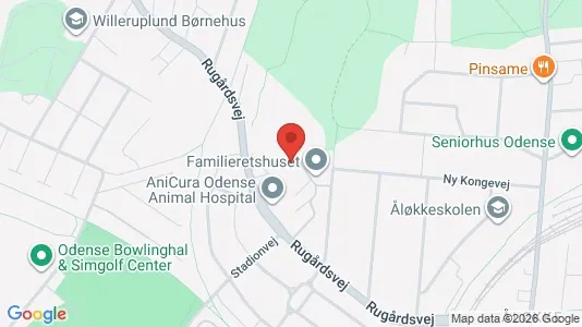 Apartments for rent i Odense C - kort over placeringen