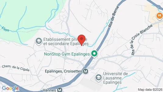 Apartments for rent in Lausanne - Photo from Google Street View