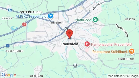 Apartments for rent in Frauenfeld - Photo from Google Street View