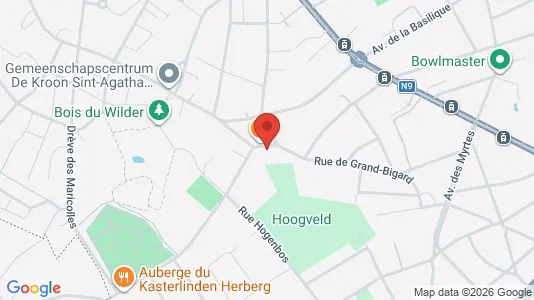Apartments for rent i Brussels Sint-Agatha-Berchem - kort over placeringen