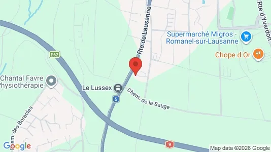 Apartments for rent i Lausanne - kort over placeringen