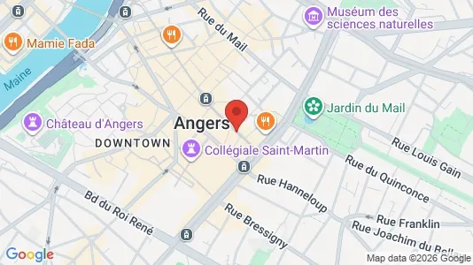 Apartments for rent i Angers - kort over placeringen