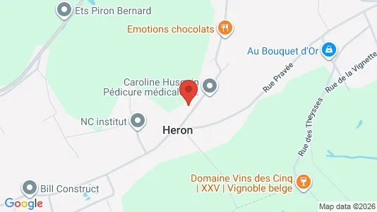 Apartments for rent in Héron - Photo from Google Street View