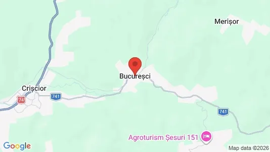 Apartments for rent in Bucureşci - Photo from Google Street View